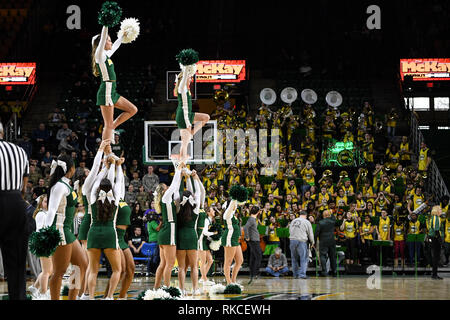 Fairfax, Virginia, USA. 10 Feb, 2019. George Mason Patrioten Cheerleadern und Band während eines Spiels gegen die La Salle Forscher an EagleBank Arena. Credit: Terrence Williams/ZUMA Draht/Alamy leben Nachrichten Stockfoto