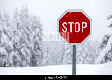 Stop-Schild auf einer verschneiten Straße Stockfoto