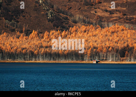 Herbst Wald Holz Gelb Orange Reflektierend auf blaues Wasser See Landschaft Natur klare Wetter schön Stockfoto