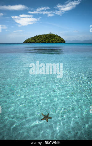 In kristallklarem, türkisfarbenem Meerwasser Seesterne, mit kleinen runden Insel - Bonbon Strand, Österreich, Philippinen Stockfoto