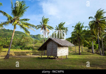 Thatch Bauernhof Hütte in Coconut Grove auf Camiguin Island Reisfeld - Philippinen Stockfoto