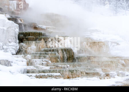 Mammoth Hot Springs im Yellowstone-Nationalpark Stockfoto