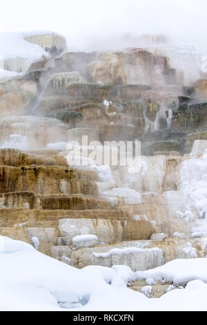 Mammoth Hot Springs im Yellowstone-Nationalpark Stockfoto