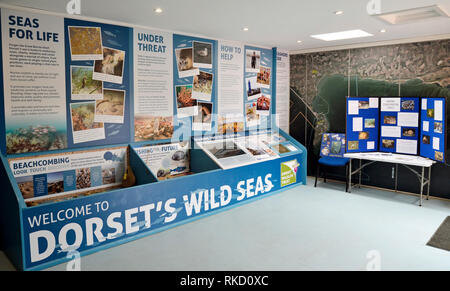 Wilden Meere Center, Visitor Center in Purbeck Marine Wildlife Reserve, Kirche Knowle, Wareham, Dorset, Großbritannien Stockfoto