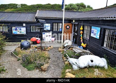 Wilden Meere Center, Visitor Center in Purbeck Marine Wildlife Reserve, Kirche Knowle, Wareham, Dorset, Großbritannien Stockfoto