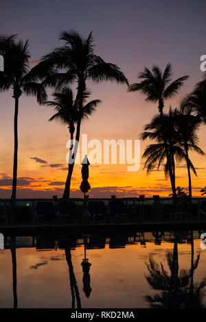 Silhouetten und Reflexionen von Palmen bei Sonnenaufgang am Strand von Miami Stockfoto