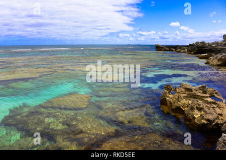 Beeindruckende Felsen und Korallen, Unkraut, im schönen klaren Meer Wasser (blau und grün, Lagune Töne) von Rottnest Island, in der Nähe von Perth, WA, Australien. Cl Stockfoto