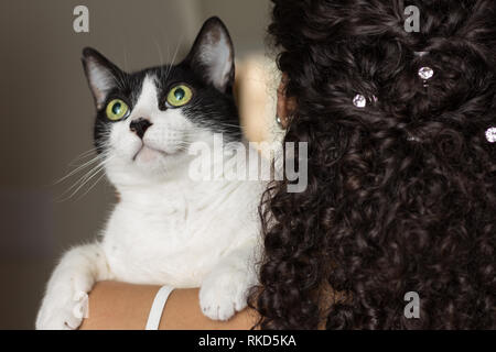 Nahaufnahme von Frau mit lockigem Haar ihre inländischen schwarze und weiße Katze mit grünen Augen auf die Schulter. Konzept der Liebe, Tiere, Haustiere, lifes Stockfoto