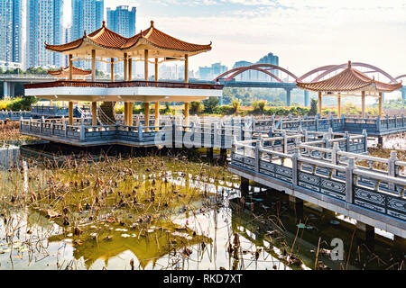 See im Stadtpark. Shenzhen. China. Stockfoto