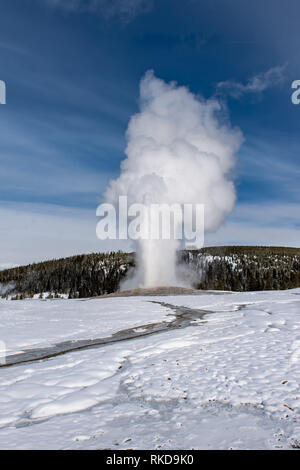 Ausbruch des Old Faithful Geysir im Yellowstone National Park in Wyoming, USA Stockfoto