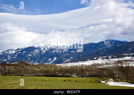 Schöne llandscape mit der Weide am Fuße der Berge. Stockfoto