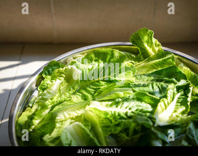 Grünes Gemüse gewaschen und über in der Küche gekocht werden Stockfoto