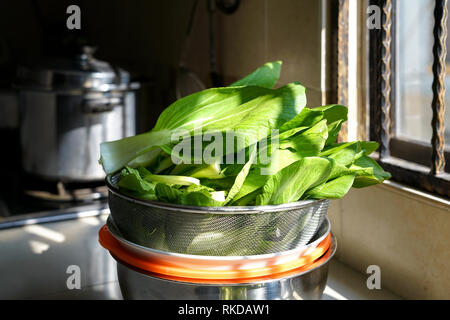 Grünes Gemüse gewaschen und über in der Küche gekocht werden Stockfoto