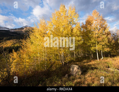 Blick von Osten Beckwith Berg und Lost Lake Slough aus Lake Campground in Gunnison National Forest verloren. Stockfoto