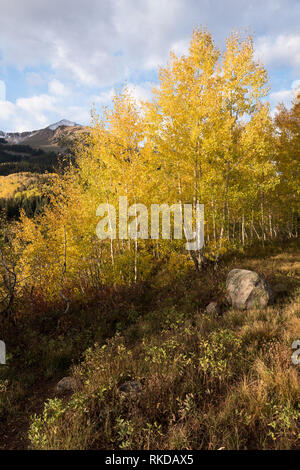 Blick von Osten Beckwith Berg und Lost Lake Slough aus Lake Campground in Gunnison National Forest verloren. Stockfoto