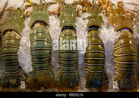 Eine Anordnung von frischen Hummer Meeresfrüchte auf Eis zu einem Fischmarkt in Phuket, Thailand. Hummer umfassen eine Familie (Nephropidae, manchmal auch H Stockfoto