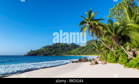 Unberührten tropischen Strand mit weißem Sand und Palmen rund um Stockfoto