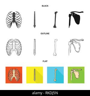 Rippe, Wirbelsäule, Femur, Cage, Chiropraktik, gebrochen, Becken, Röntgen, Backbone, Fibel, Hüfte, Leib, Wirbelsäule, Shin, Becken-, Osteoporose, Tibia, Brustbein, Körperhaltung, Bruch, Bein, Brustbein, Chirurgie, Kalzium, Schmerzen, gesund, Verletzung, Treibholz, Gesundheit, Bewegung, Medizin, Klinik, Biologie, Medizin, Knochen, Skelett, Anatomie, menschliche Organe, Set, Vector, Icon, Illustration, isoliert, Sammlung, Design, Element, Grafik, Vektor, Vektoren, Stock Vektor