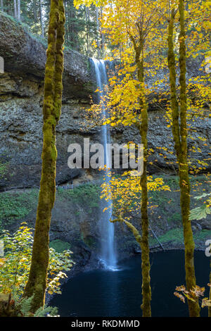 Silver Falls State Park im Herbst Stockfoto