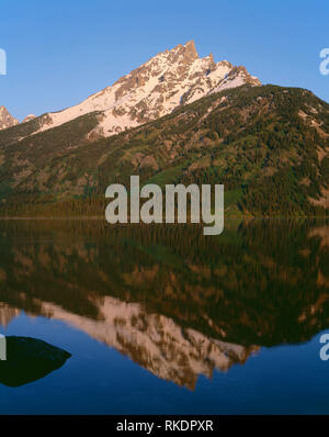 USA, Wyoming, Grand Teton National Park, Sonnenaufgang am Grand Teton reflektiert in den Jenny See; Teton Bergkette. Stockfoto