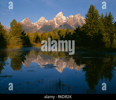 USA, Wyoming, Grand Teton National Park, morgen Licht auf die großen Gipfel der Teton Range, die in eine ruhige Seite Kanal des Snake River reflektieren. Stockfoto