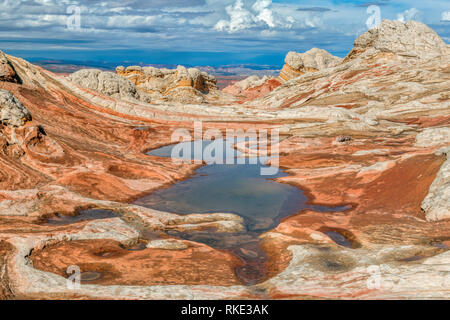 Sandstein Klippen, White Pocket, Vermillion Cliffs National Monument, Paria Plateau, Arizona Stockfoto