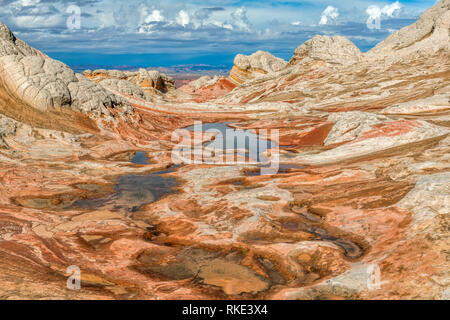 Sandstein Klippen, White Pocket, Vermillion Cliffs National Monument, Paria Plateau, Arizona Stockfoto