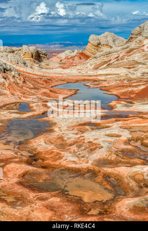 Sandstein Klippen, White Pocket, Vermillion Cliffs National Monument, Paria Plateau, Arizona Stockfoto