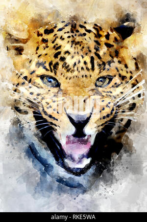 Aquarell Abbildung leopard Portrait. Schöne Wildlife World Stockfoto