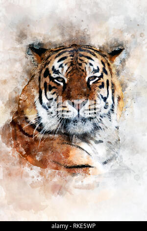 Aquarell Abbildung tiger Portrait. Schöne Wildlife World Stockfoto