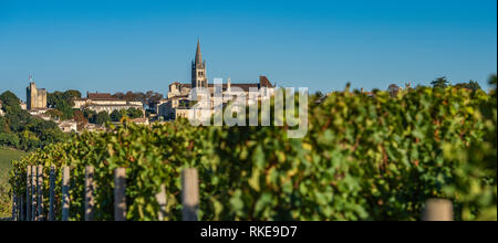 Schönen sonnenaufgang Dorf Saint Emilion, Weinberg, Gironde, Frankreich, Europa Stockfoto