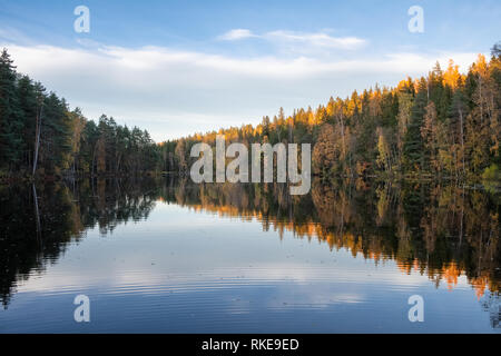 Erstaunlich Herbst Landschaft mit See, goldfarbenen Wald und blauer Himmel, Outdoor reisen Hintergrund in Finnland Stockfoto