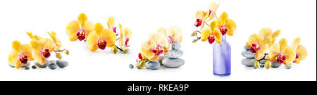 Orchidee Blumen, Vase und spa Steine Sammlung auf weißem Hintergrund. Blumenschmuck. Floral Design Stockfoto