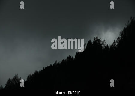 Foggy landscaoe. Silhouette von Tannen und Lärchen Tree Tops in Nadelholz alpinen Waldes gegen dramatische Wolken und Nebel. Adamello Park, Passo del Tonale Stockfoto