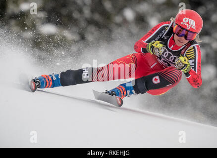 Sind, Schweden. 10 Feb, 2019. Ski Alpin, Weltmeisterschaft, Downhill, Damen: Marie-Michele Gagnon aus Kanada auf der Rennstrecke. Quelle: Michael Kappeler/dpa/Alamy leben Nachrichten Stockfoto