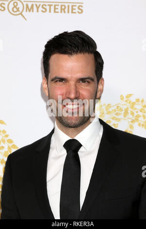 Pasadena, CA, USA. 9 Feb, 2019. LOS ANGELES - FEB 9: Benjamin Ayres auf das Markenzeichen Winter 2019 TCA Ereignis am Turnier, das Haus am 9. Februar 2019 in Pasadena, CA Credit: Kay Blake/ZUMA Draht/Alamy leben Nachrichten Stockfoto