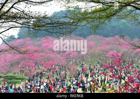 Peking, China Guangxi Zhuang autonomen Region. 5. Februar, 2019. Touristen besuchen die Shimen forest park in Nanning, South China Guangxi Zhuang autonomen Region, Feb 5, 2019. Credit: Yu Xiangquan/Xinhua/Alamy leben Nachrichten Stockfoto