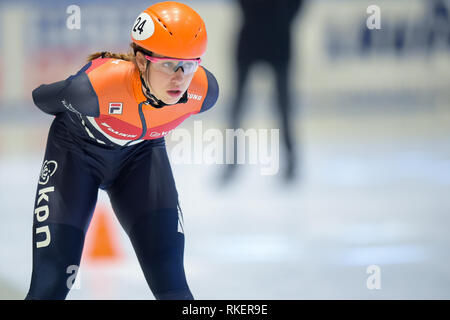 Torino, Italien. 10. Februar, 2019. ISU World Cup Short Track Speed am Tazzoli Eisbahn Torino statt Skaten. Im Bild SCHULTING Suzanne NED Senior W Konkurrent. Damiano Benedetto/Alamy leben Nachrichten Stockfoto