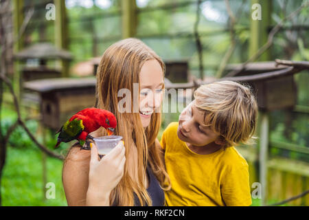 Mutter und Sohn feed der Papagei in den Park. Zeit mit Kindern. Stockfoto
