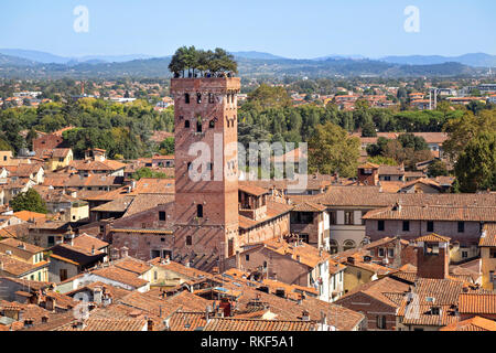 Lucca, Italien. Torre Guinigi - Backstein Turm aus dem 14. Jahrhundert von Holm - Eichen gekrönt Stockfoto