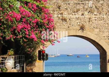 Detail der mittelalterlichen Tor und Stadtbefestigung Wände mit Bougainvillea Blüten. Altstadt von Rhodos, Dodekanes, Griechenland Stockfoto