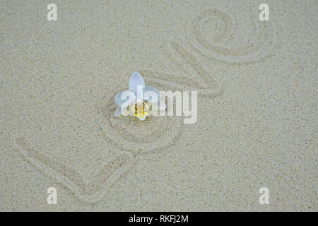 Das Wort "Liebe" im Sand orchid geschrieben Stockfoto