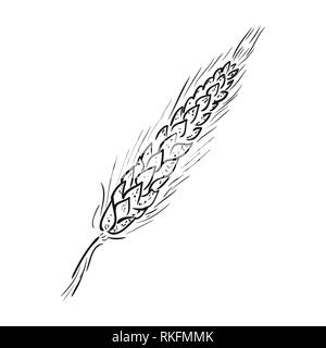 Skizze Ähre Hand gezeichnet Vector Illustration. Schwarz Ohr auf weißem Hintergrund. Stock Vektor