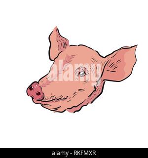 Farbe Skizze Schwein. Farm theme. Vector Illustration EPS 10. Stock Vektor