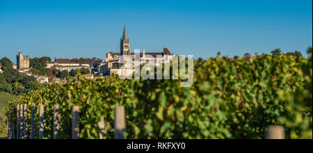 Schönen sonnenaufgang Dorf Saint Emilion, Weinberg, Gironde, Frankreich, Europa Stockfoto