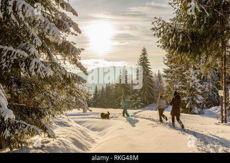 Freunden auf einer Wanderung im Winter Urlaub Stockfoto