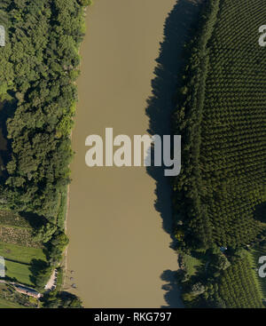 Blick von oben auf die Garonne Regenwald, Gironde, Frankreich Stockfoto