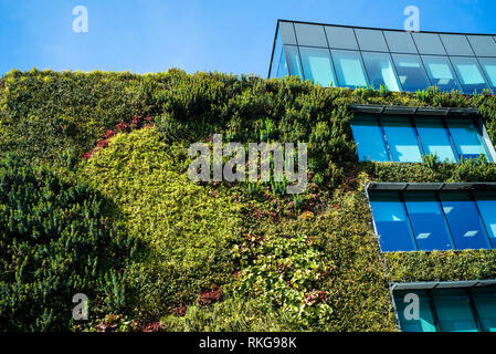 Living Wall der vertikalen Garten auf dem MTV Gebäude Camden London Stockfoto