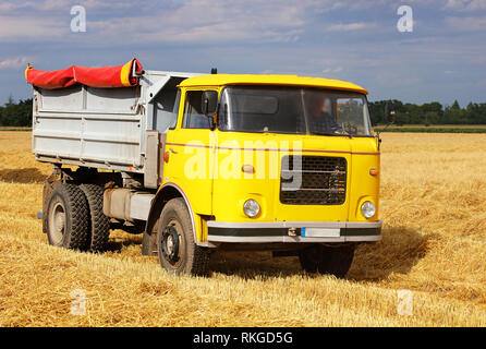 Auto Lkw auf Weizenfeld, Ernte Stockfoto