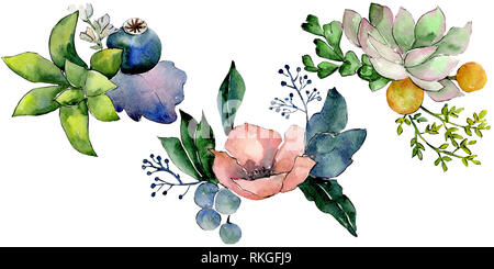 Blumensträuße mit saftigen floral botanischen Blumen. Aquarell Hintergrund gesetzt. Isolierte sukkulenten Abbildung Element. Stockfoto